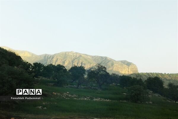 احیای دوباره چهل چشمه در فارس