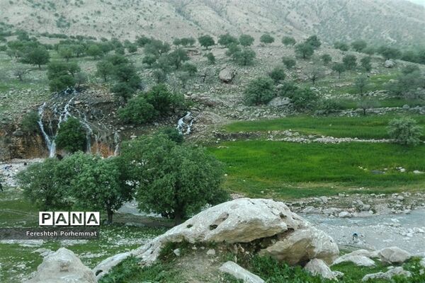 احیای دوباره چهل چشمه در فارس