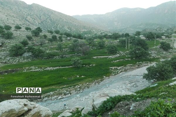 احیای دوباره چهل چشمه در فارس