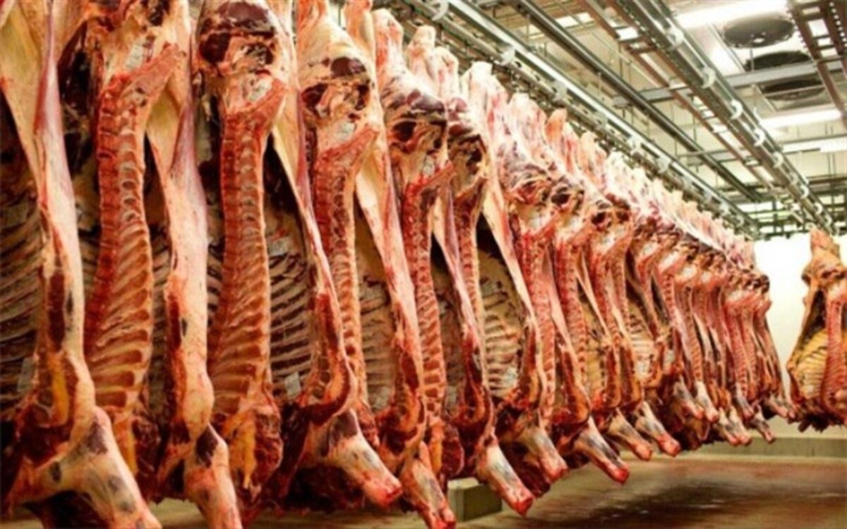قیمت گوشت قرمز 10 هزار تومان ارزان شد