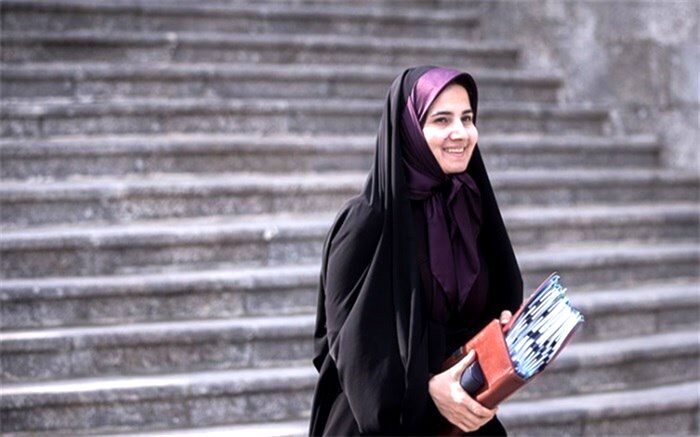 جنیدی:  تعیین نهاد ناظر بر اجرای قانون مبارزه با پولشویی  ضرورت دارد