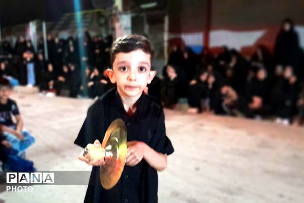 از کربلا تا ایران؛ عزاداران حسینی با پرچم ایران، پیام وحدت و استقامت را فریاد زدند
