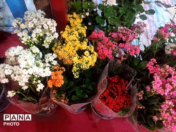 نمایشگاه گل و گیاه و سوغات در همدان