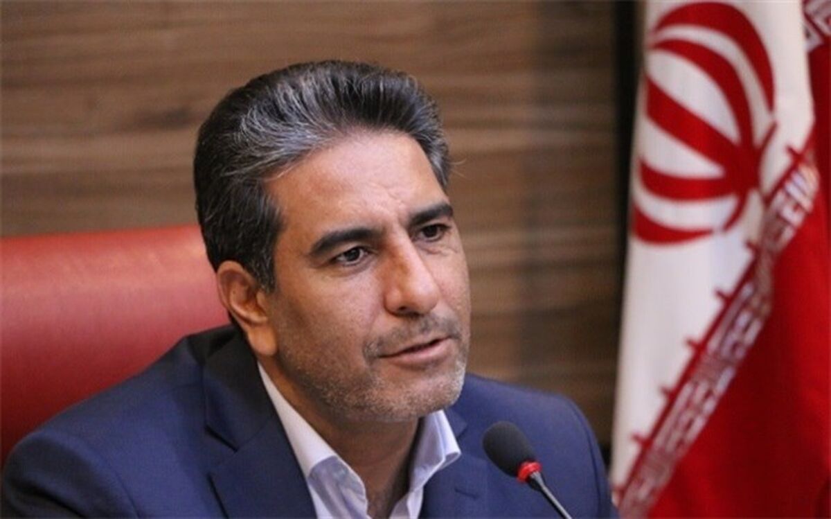 محمدصیدلو: عدم توجه جدی به ظرفیت بستر الکترونیک  یکی از علل عدم تحول در ساختار اداری است