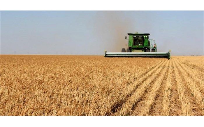 آغاز خرید تضمینی گندم از کشاورزان آذربایجان شرقی بعد از پایان ماه مبارک رمضان