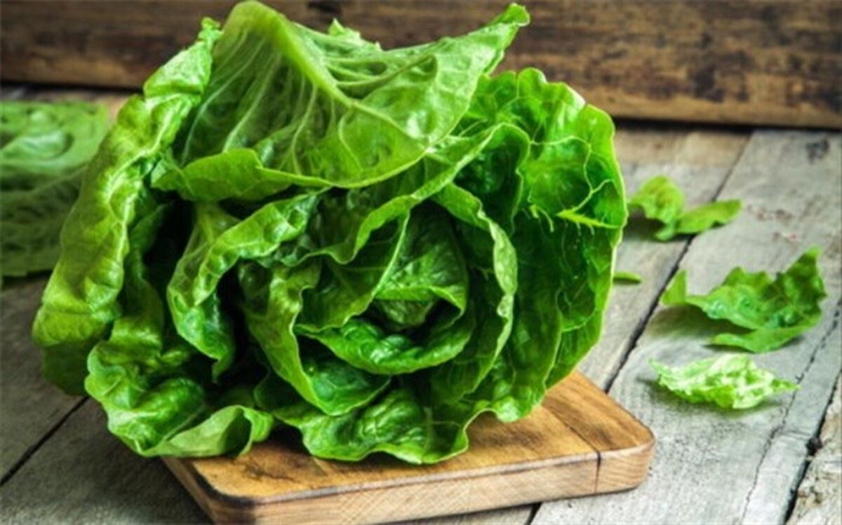 کاهو در خون‌سازی و برای ضعف اعصاب موثر است