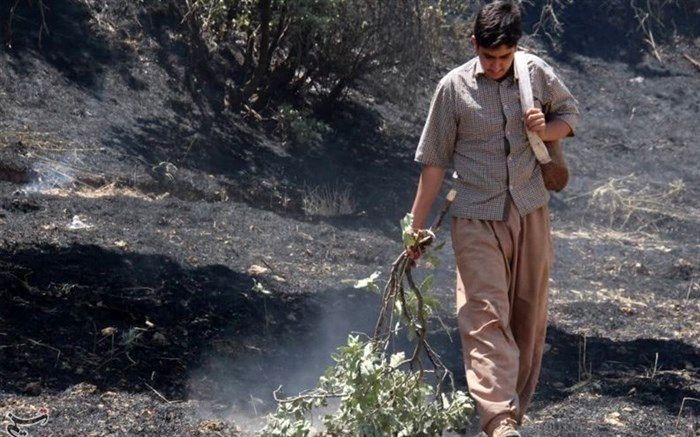 آتش گرفتن  روزانه جنگل‌ها و مزارع ایلام