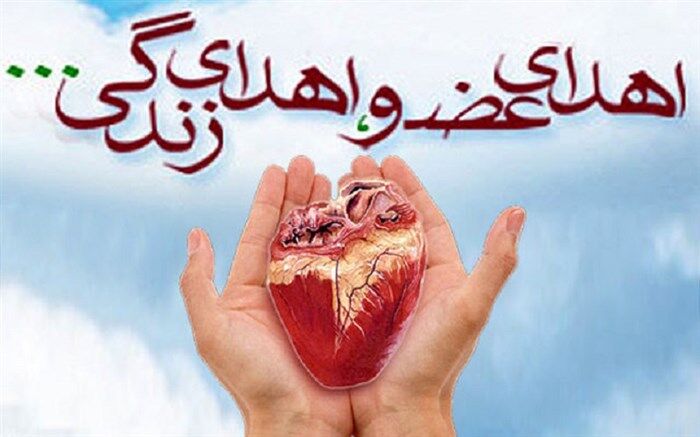 اعضای بدن هشت بیمار مرگ مغزی استان اردبیل به بیماران اهدا شد