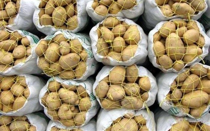 رفع ممنوعیت صادرات سیب زمینی و پیاز ابلاغ شد