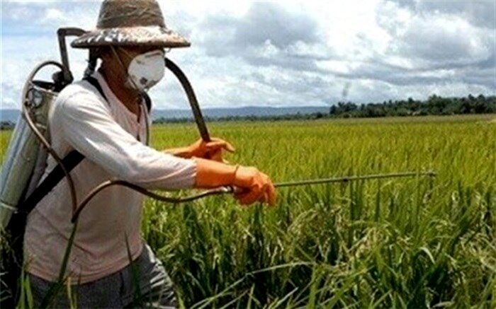 اختصاص 710 میلیارد ریال یارانه به تسهیلات کشاورزی چهارمحال و بختیاری
