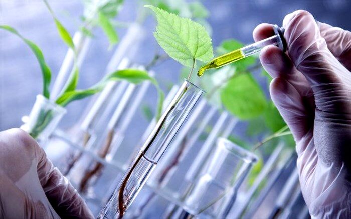طرح‌ تحقیقاتی گونه‌های گیاهی سازگار قم تا فروردین ۹۹ تکمیل می‌شود