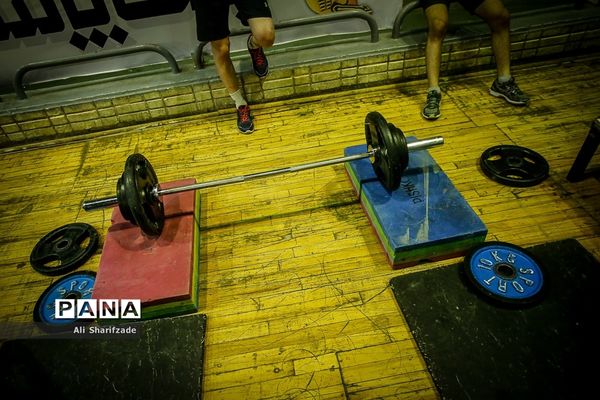 تمرین تیم ملی کشتی فرنگی