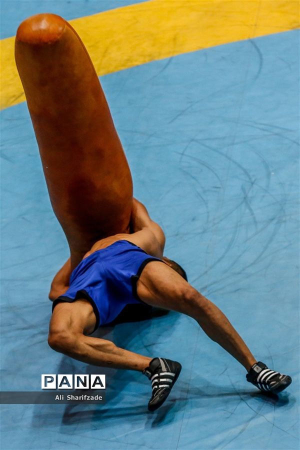 تمرین تیم ملی کشتی فرنگی