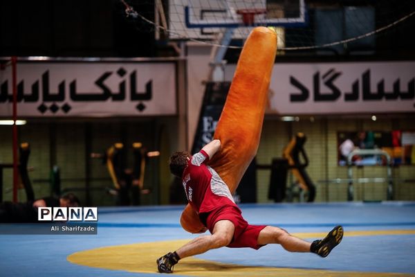 تمرین تیم ملی کشتی فرنگی