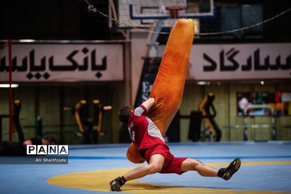 تمرین تیم ملی کشتی فرنگی