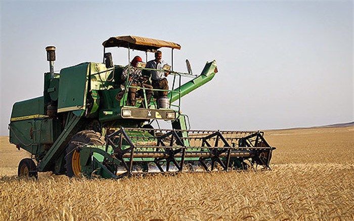 پیش بینی خرید تصمینی ۶۰۰ هزار تن گندم مازاد بر نیاز زراعین آذربایجان غربی