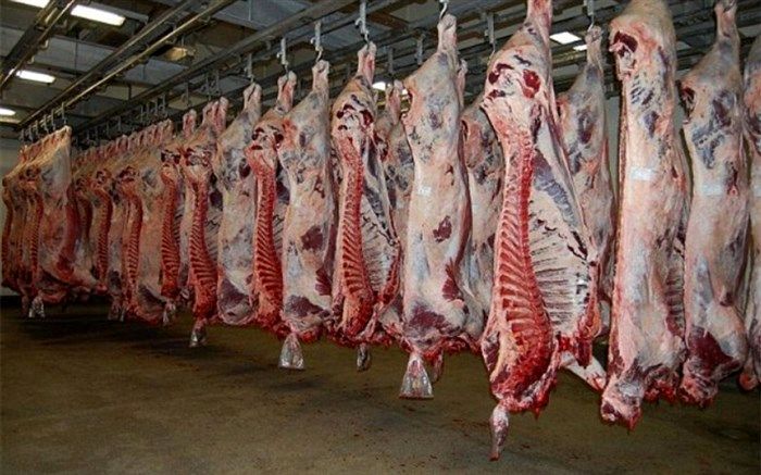 معاون عمرانی استاندار آذربایجان شرقی: کشتار دام بدون مجوز جرم است