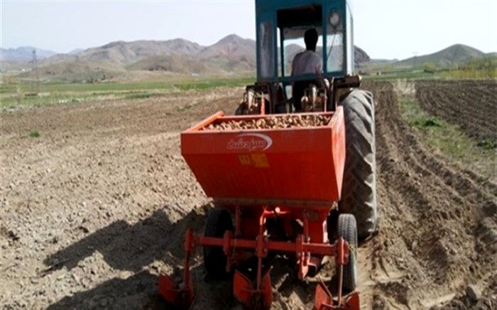 آغاز کشت سیب زمینی در چالدران