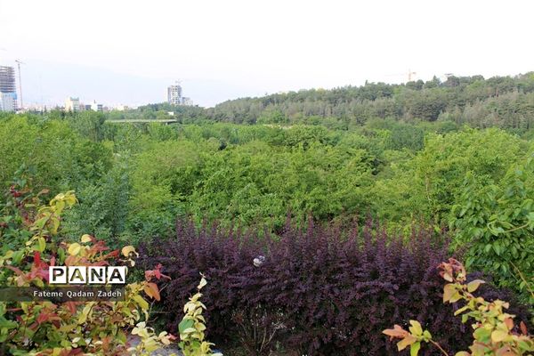 پارک آب و آتش تهران