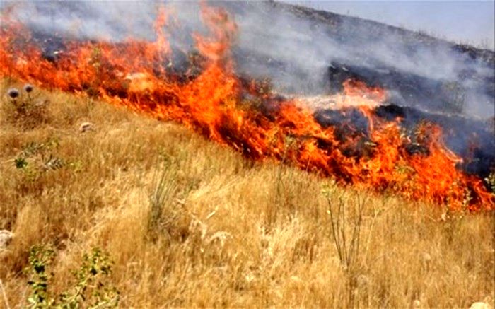 آتش سوزی در ششده و قره بلاغ