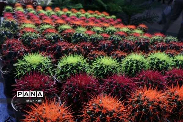 افتتاح نمایشگاه بین‌المللی گل و گیاه مشهد