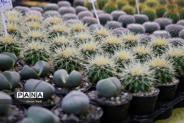 افتتاح نمایشگاه بین‌المللی گل و گیاه مشهد