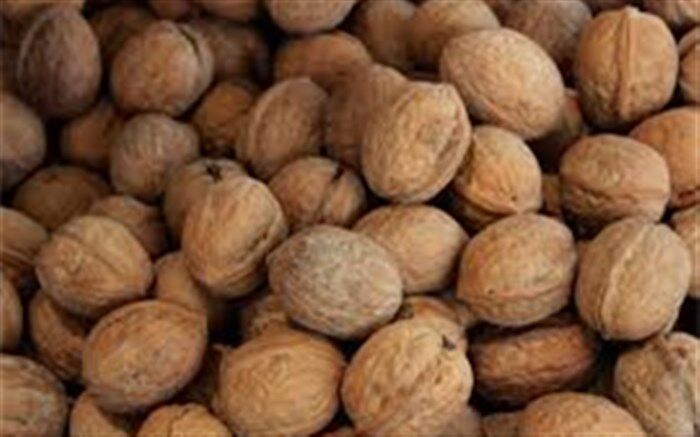 کشف گردوی قاچاق میلیاردی در شیراز
