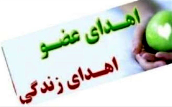زندگی دوباره سه هم‌وطن با چهارمین ایثار ماندگار استان بوشهر در سال