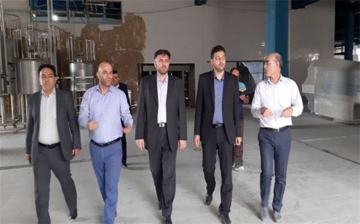 بازدید معاون هماهنگی امور اقتصادی استاندار تهران از یک واحد تولیدی در شهرستان ملارد