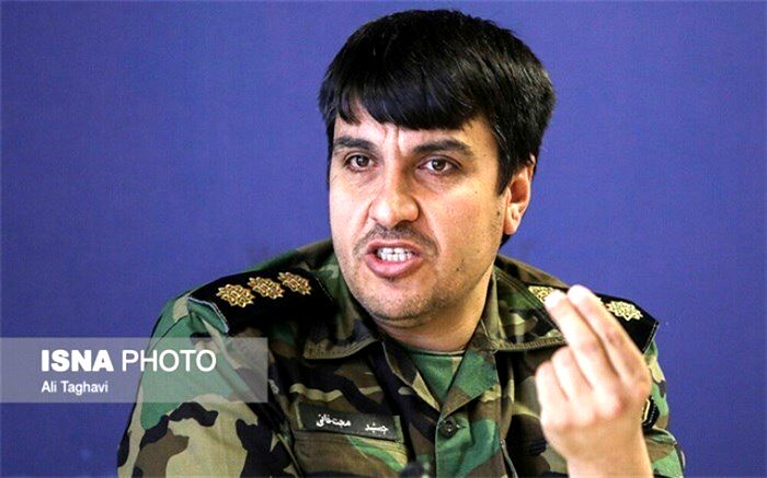 آتش‌سوزی‌های عمدی محیط‌زیست؛ از زغال تا سنجاب