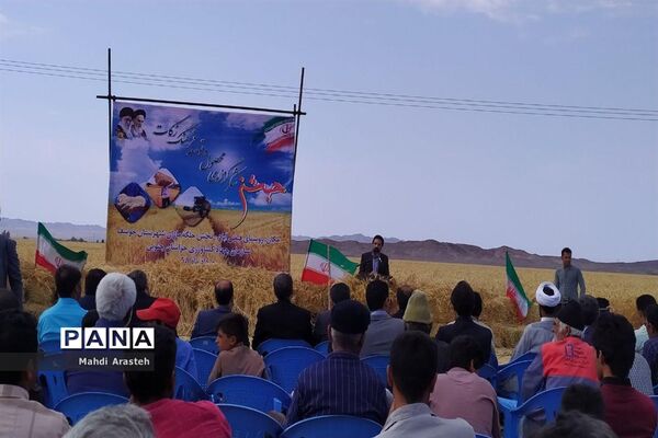 برگزاری جشن شکرگزاری برداشت گندم در روستای فیض آباد ،جلگه ماژان شهرستان خوسف