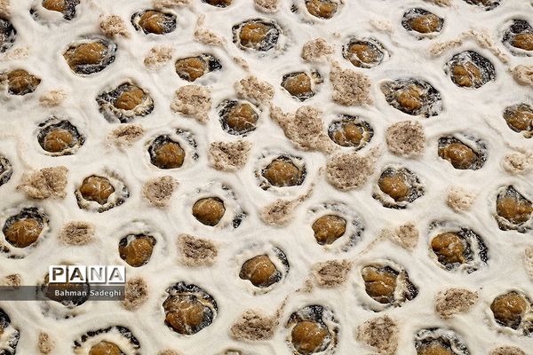 بازدید از مراکز تفکیک زباله تهران