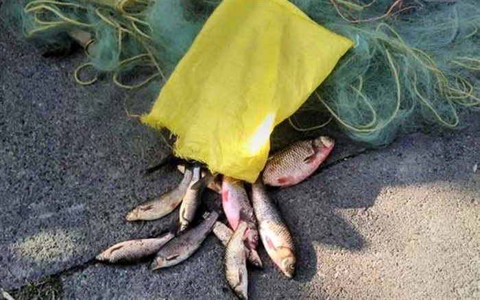 دستگیری صیادان غیرمجاز در حاشیه سد لتیان