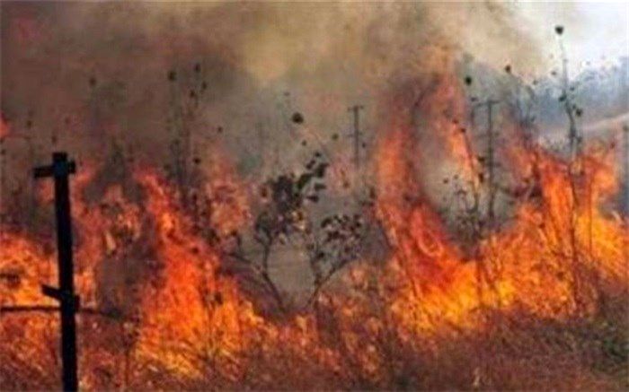 ۶ هکتار از مراتع کشاورزی  «دارنجان لر» سوخت