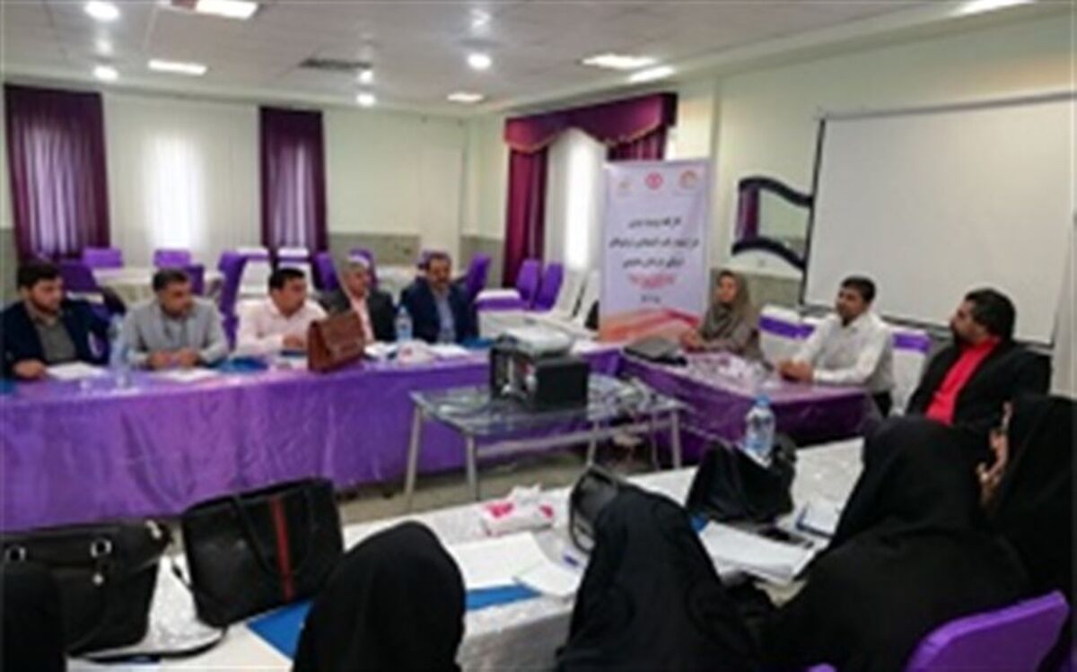 معاون امور توسعه و پیشگیری اداره کل بهزیستی استان خراسان جنوبی  : اجرای طرح مانا در تمامی شهرستان‌های خراسان جنوبی