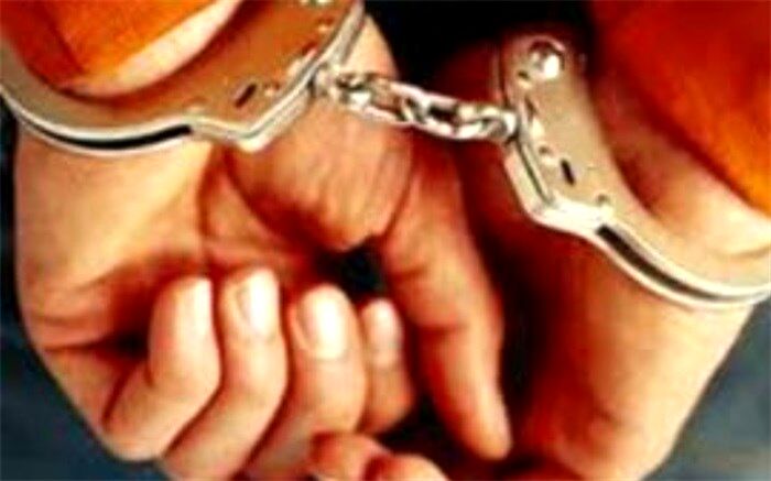 سارقان طلاجات منازل مسکونی در دشتستان دستگیر شدند