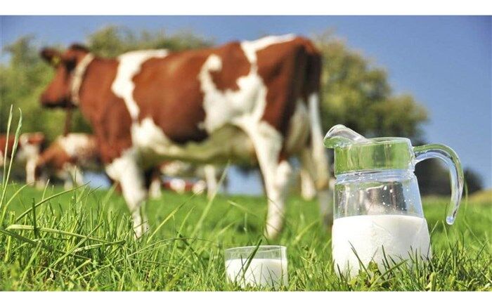 آخرین اخبار از قیمت لبنیات در آذربایجان غربی