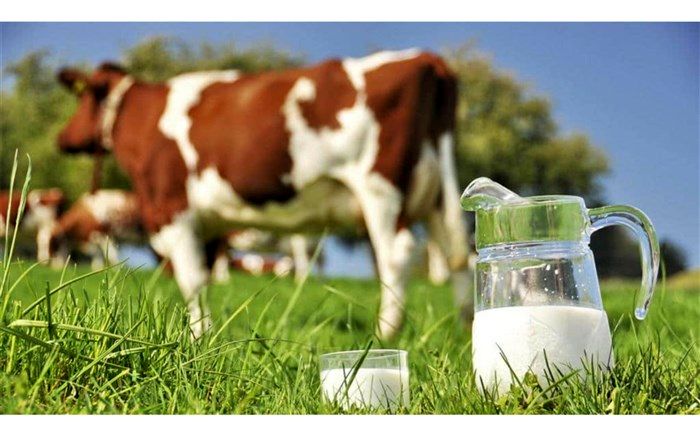 آخرین اخبار از قیمت لبنیات در آذربایجان غربی