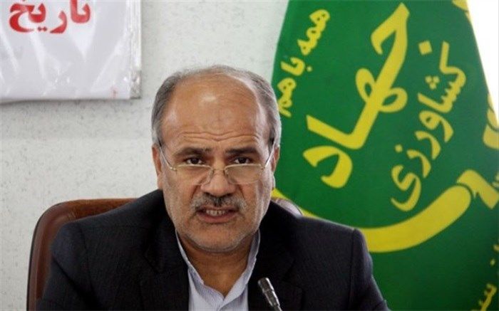 تولید محصولات گلخانه ای در استان البرز ۱۰ برابر می شود