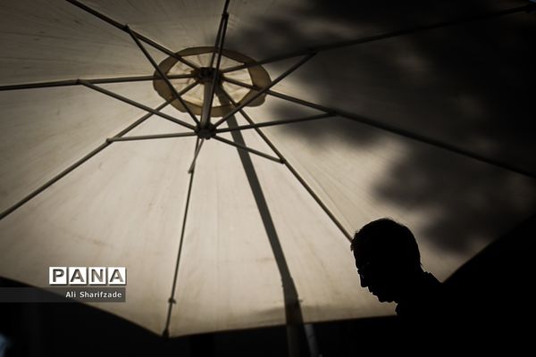 جلسه هیئت دولت