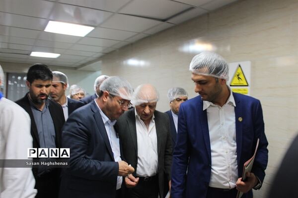 بازدید وزیر صنعت، معدن و تجارت از واحدهای تولیدی و صنعتی اسلامشهر