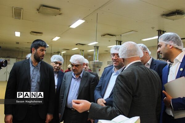 بازدید وزیر صنعت، معدن و تجارت از واحدهای تولیدی و صنعتی اسلامشهر
