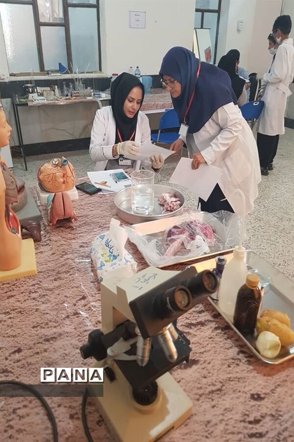 برگزاری پنجمین جشنواره نوجوان خوارزمی قطب جنوب به میزبانی آموزش وپرورش شهرستان خنج
