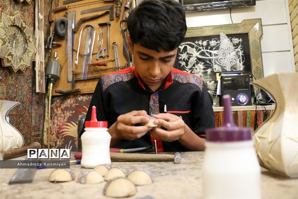 سرای مشیر شیراز