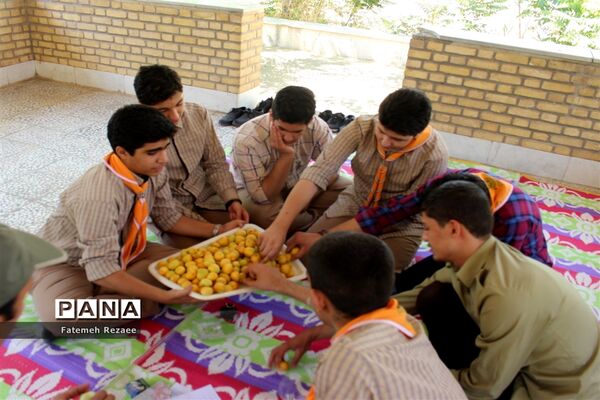 برگزاری پیش اردوی ملی دانش‌آموزان پیشتاز پسر استان زنجان