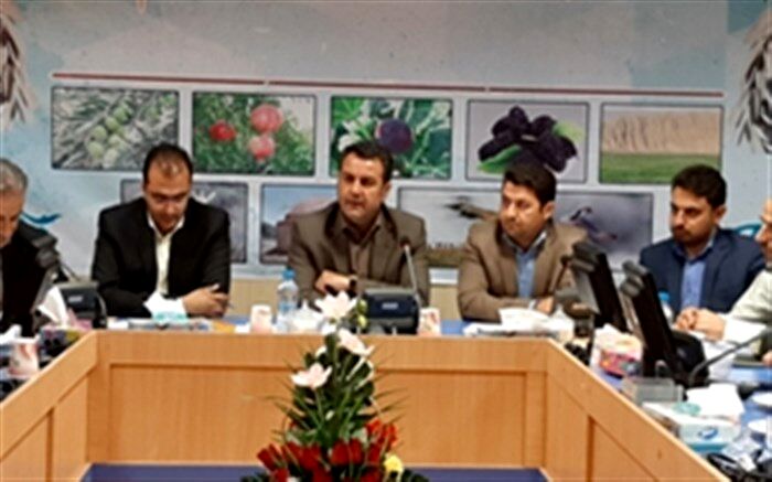 نظارت بر قیمت کالا ها تشدید شود