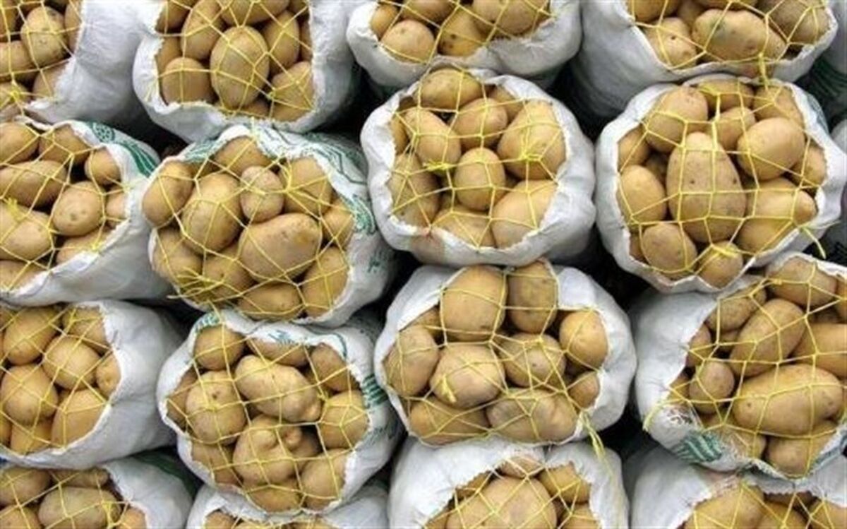 صادرات سیب‌زمینی مشمول پرداخت عوارض صادراتی شد
