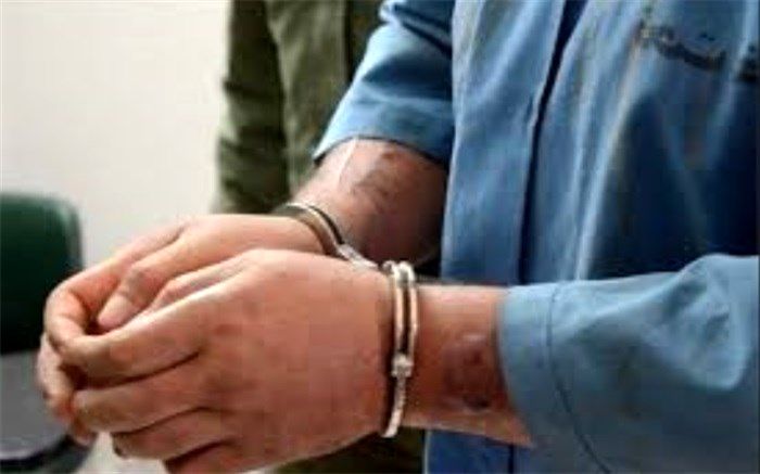 دستگیری گردنبند دزدهای پایتخت با ۳۰ فقره سرقت