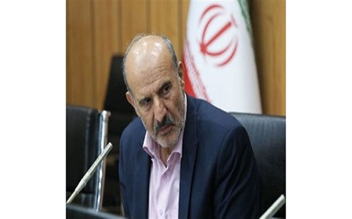 داودی: دستگاه‌های اجرایی باید  با نهاد مردمی شوراها همکاری لازم و نزدیکی داشته باشند