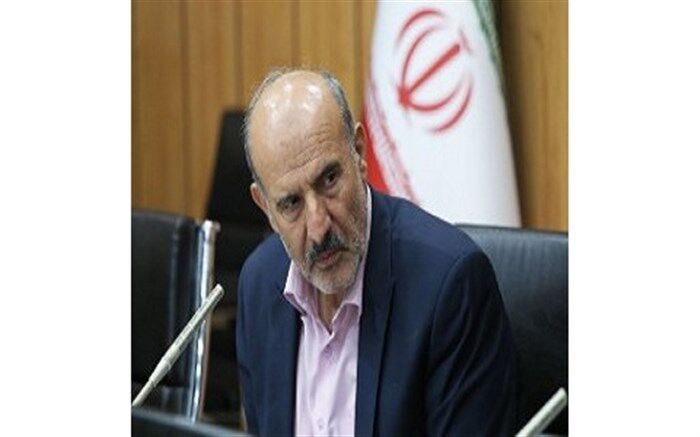 داودی: دستگاه‌های اجرایی باید  با نهاد مردمی شوراها همکاری لازم و نزدیکی داشته باشند